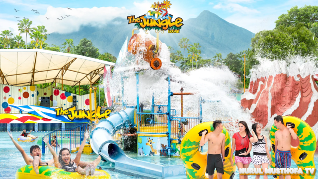 The Jungle Waterpark