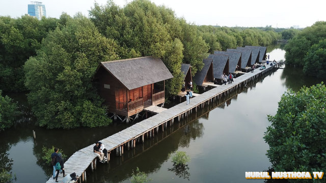 Hutan Mangrove Pantai Indah Kapuk