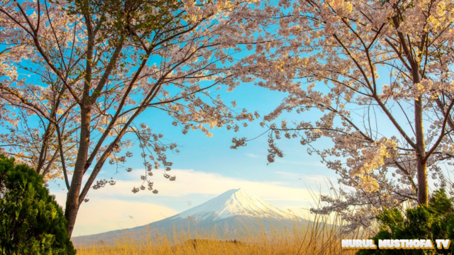 Gunung Fuji