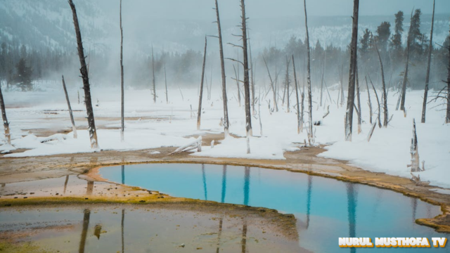 yellowstone national park