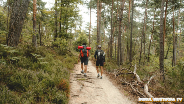 Tips Liburan Hiking Agar Tetap Aman Dan Seru