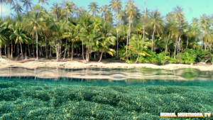 Pulau Biak