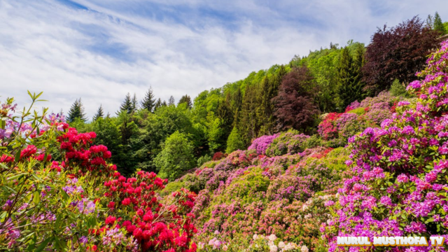 butchart gardens Kanada