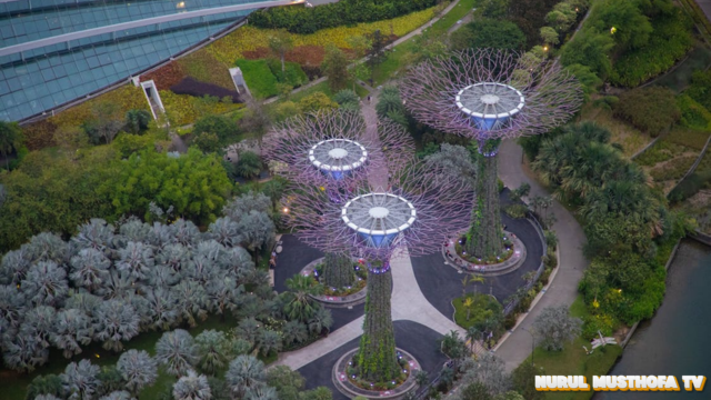 gardens by the bay singapura