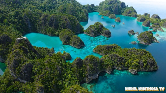 Liburan Menyenangkan - Trip & Budget ke Raja Ampat