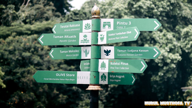 Rekomendasi Tempat Liburan Yang Sejuk di Bogor