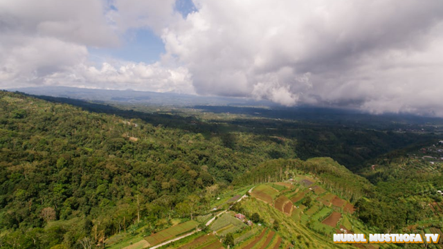 Bukit Alesano