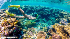 Aktivitas Snorkeling